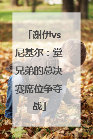 谢伊vs尼基尔：堂兄弟的总决赛席位争夺战